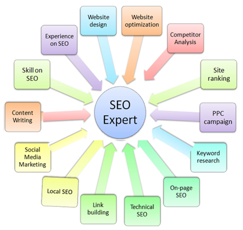 SEO expert